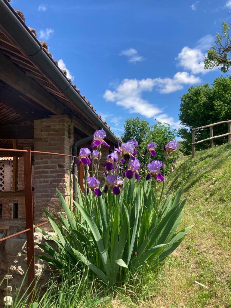 Casa Dormiveglia Bed & Breakfast Montaldo Bormida Exterior photo